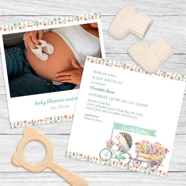 Baby shower photo Whimsical Hérisson Invitation (Whimsical Hedgehog Baby Shower Invitation)