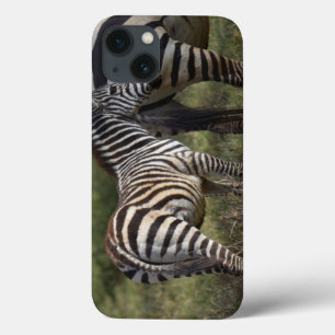 Baby Zebra iPad Mini coque