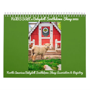 Babydoll Southdown Sheep 2023 Calendrier NABSSAR