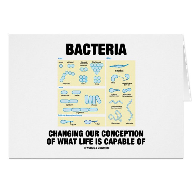 Bactéries changeant notre conception quelle vie (Devant horizontal)