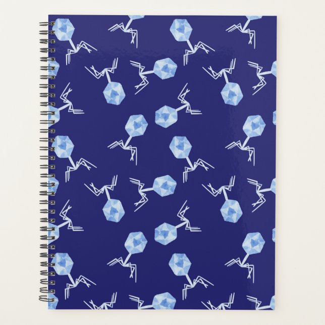 Bactériophages arc-en-ciel (Devant)