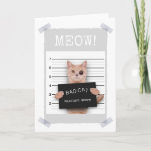 BAD CAT Police Mugshot - MEOW! Carte