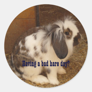 Bad Hare Day Stickers