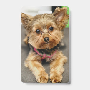 Badge Adorable