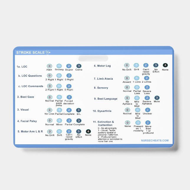 Badge Aiguille de l'échelle (Front)