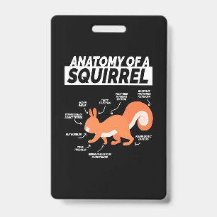 Badge Anatomie d'un écureuil