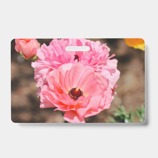 Badge Apparaître en rose  (Avant)