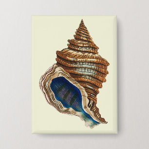 Badge Art nautique vintage George Shaw Coquille conch bl