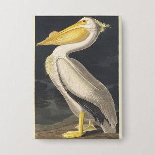 Badge Art vintage d'Audubon représentant le Pélican blan