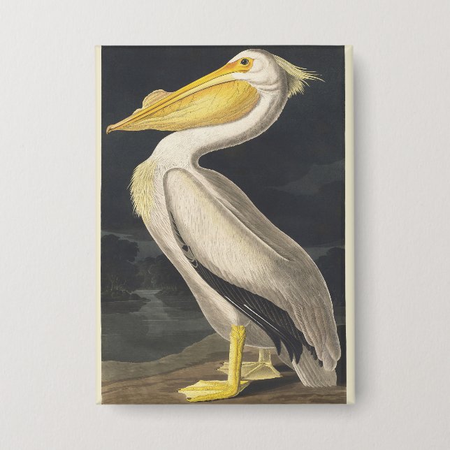 Badge Art vintage d'Audubon représentant le Pélican blan (Recto)