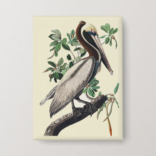 Badge Art vintage d'Audubon sur le Pélican brun, oiseau 