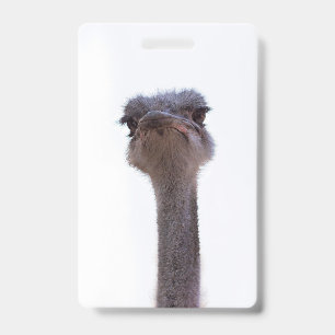 Badge autruche