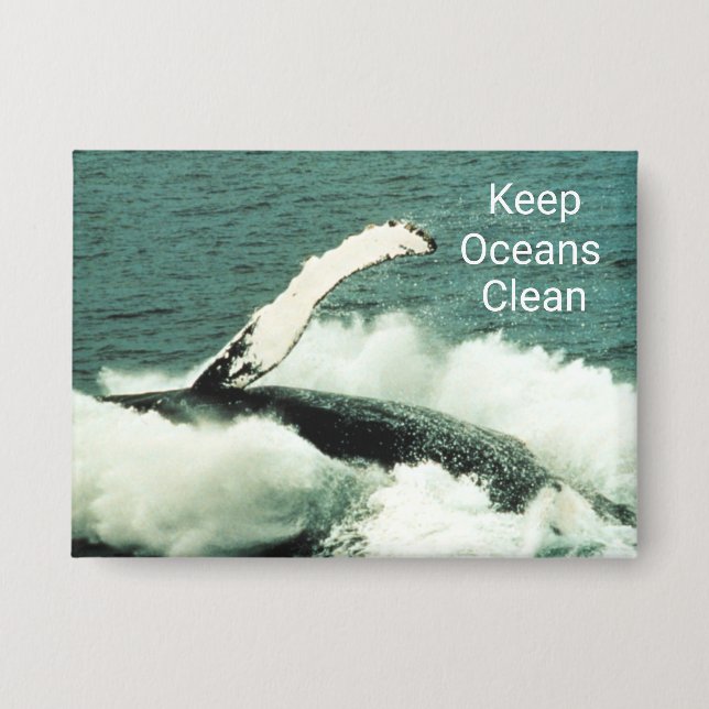 Badge Baleine à bosse Belle Attente : Bouton (Recto)