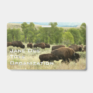 Badge Bison du Wyoming