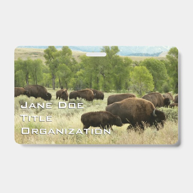 Badge Bison du Wyoming (Avant)