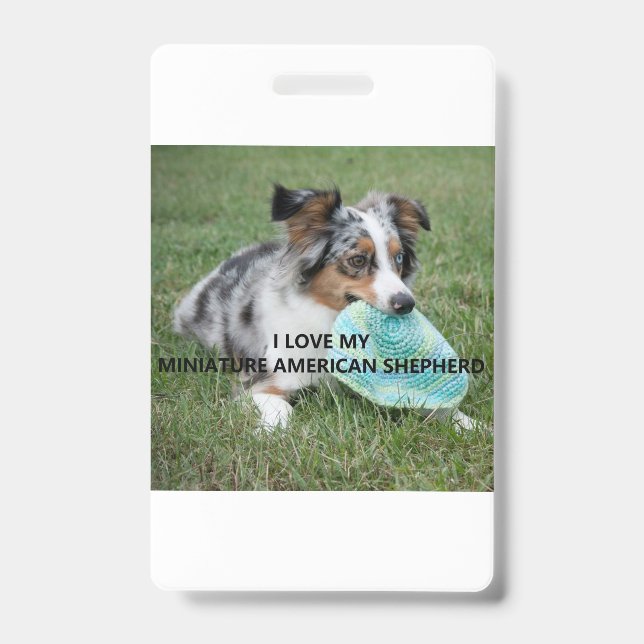 Badge Blue_Merle_Miniature_American_Shepherd amour avec  (Avant)