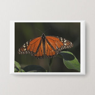 Badge Bouton de pin photo de papillon orange de la natur