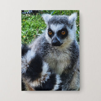 Badge Button avec Ringstaartmaki - Imprimante animale un