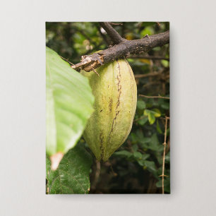 Badge cabosse de cacao