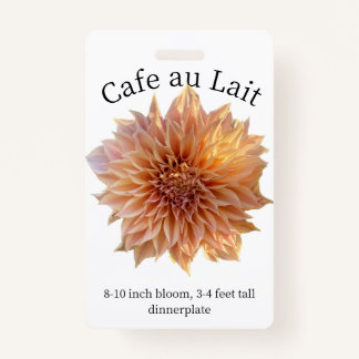 Badge Cafe au Lait Dahlia ID