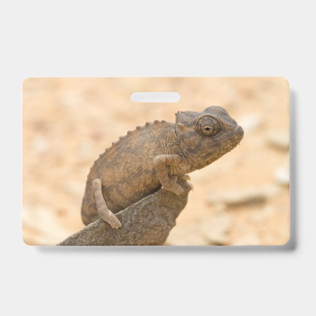 Badge Caméléon en Namibie (Avant)