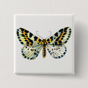 Badge Carré 5 Cm Abraxas grand ulariata, The Magpie Moth Color Imag