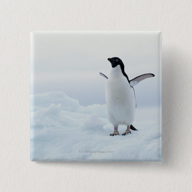 Badge Carré 5 Cm Adelie pingouin, Antarctique (Devant)