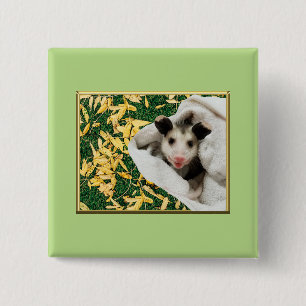 Badge Carré 5 Cm Adorable Bébé Opossum Mignon