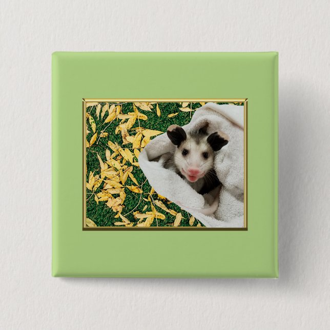 Badge Carré 5 Cm Adorable Bébé Opossum Mignon (Devant)