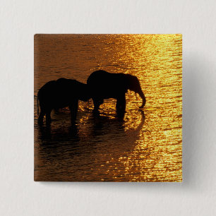 Badge Carré 5 Cm Afrique, Botswana, Delta de l'Okavango. Africain