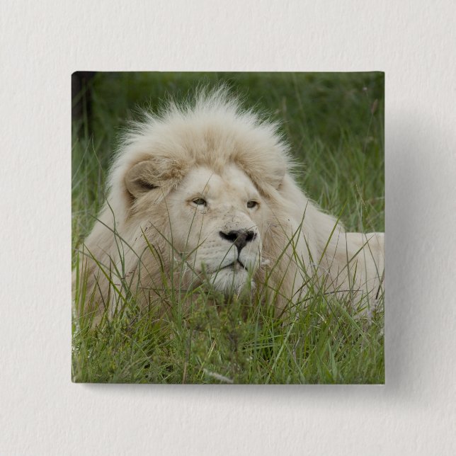 Badge Carré 5 Cm Afrique du Sud, East London, Inkwenkwezi Private (Devant)