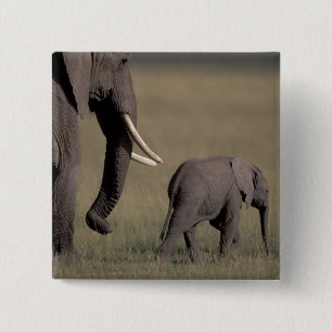 Badge Carré 5 Cm Afrique, Kenya, Parc national d'Amboseli. Africain