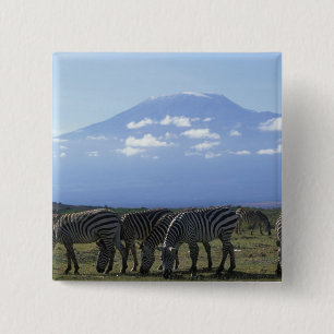 Badge Carré 5 Cm Afrique, Kenya, Parc national d'Amboseli, Troupeau