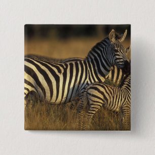 Badge Carré 5 Cm Afrique, Kenya, réserve de gibier Masai Mara. Plai