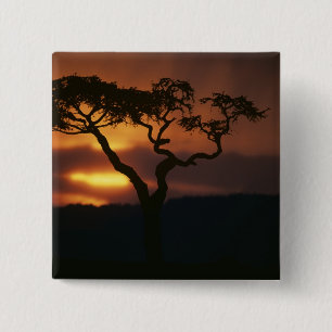 Badge Carré 5 Cm Afrique, Kenya, Réserve de Masai Mara, Décor