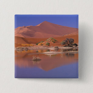 Badge Carré 5 Cm Afrique, Namibie. Parc Namib-Naukluft.2