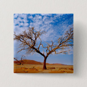 Badge Carré 5 Cm Afrique, Namibie, Parc national de Naukluft,