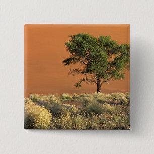 Badge Carré 5 Cm Afrique, Namibie, Parc national du Namib, Sossusvl