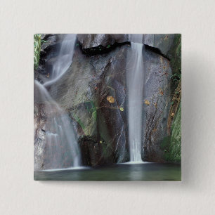 Badge Carré 5 Cm Afrique, Ouganda, Forêt tropicale impénétrable de