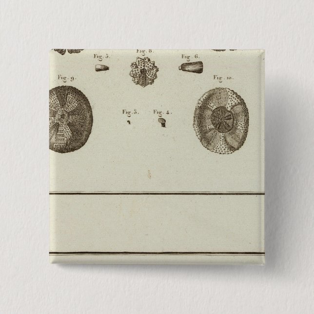 Badge Carré 5 Cm Alaska (Devant)