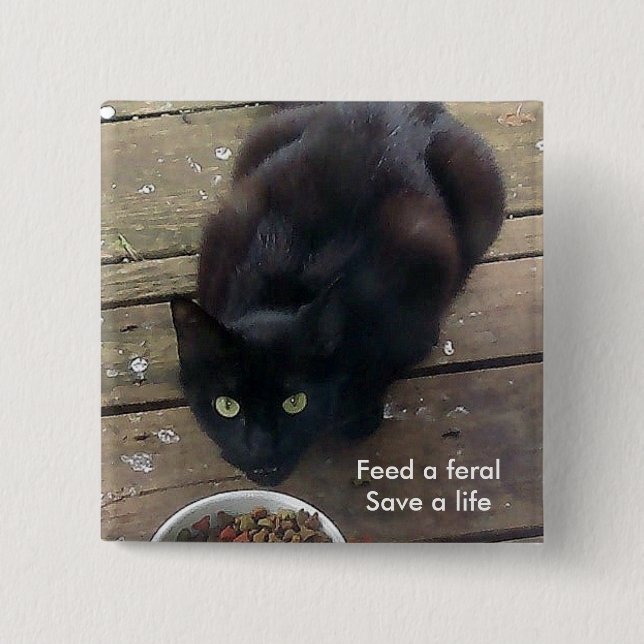Badge Carré 5 Cm "Alimentez un sauvage, bouton sauvage de chat (Devant)