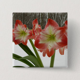 Badge Carré 5 Cm Amaryllis en Fête Rouge Neige Hiver Floral