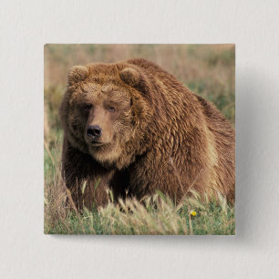 Badge Carré 5 Cm Amérique du Nord, États-Unis, Alaska, île de Kodia