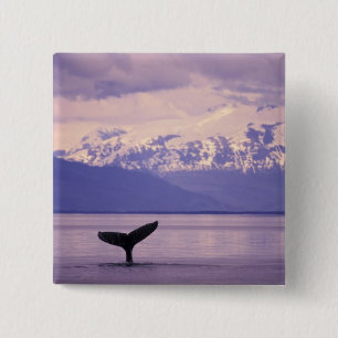 Badge Carré 5 Cm Amérique du Nord, États-Unis, Alaska, Passage inté