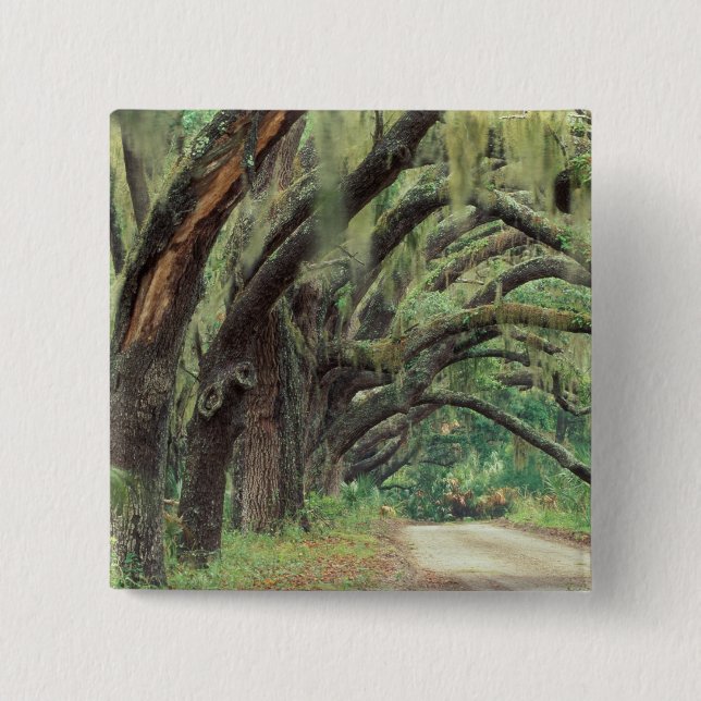 Badge Carré 5 Cm Amérique du Nord, États-Unis, Géorgie, Cumberland  (Devant)