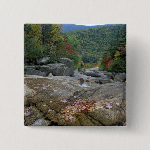 Badge Carré 5 Cm Amérique du Nord, États-Unis, NH, Feuillage d'auto