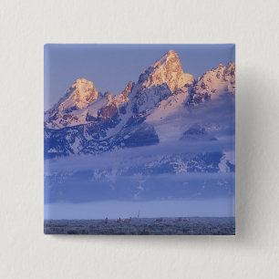 Badge Carré 5 Cm Amérique du Nord, États-Unis, Wyoming, Grand Teton