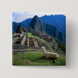 Badge Carré 5 Cm Amérique du Sud, Pérou. Un lama se repose sur une 
