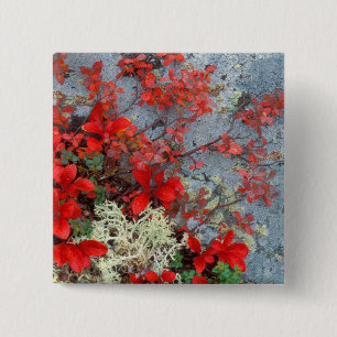Badge Carré 5 Cm AN, États-Unis, Alaska, Parc national Denali, Baie