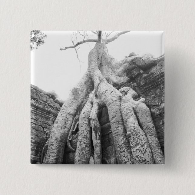Badge Carré 5 Cm Angkor Cambodge, Arbre Ta Prohm (Devant)